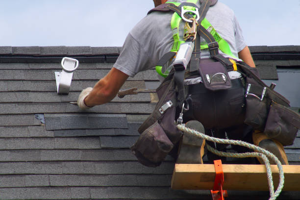 Best Roof Repair Services  in Bunker Hl, IL