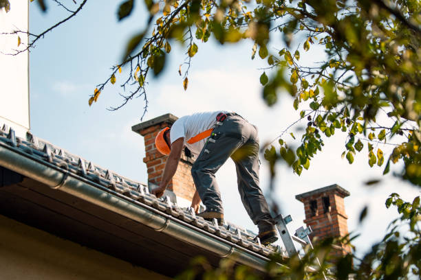 Best Heating Cable for Roof Installation  in Bunker Hl, IL