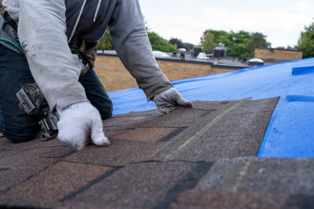Best Roof Maintenance Services  in Bunker Hl, IL