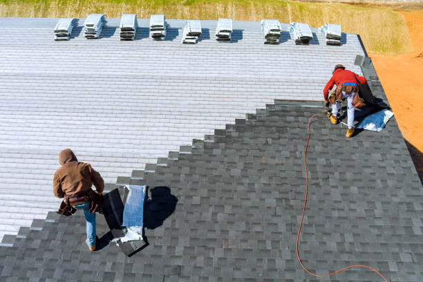 Best Roof Gutter Cleaning  in Bunker Hl, IL